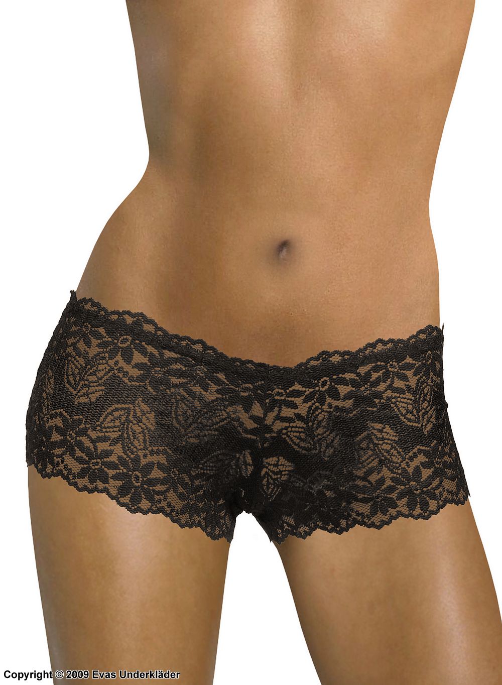 Hipster panty in stretch lace